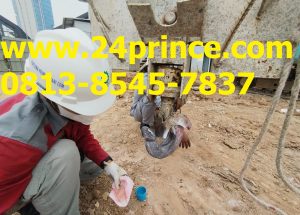 Jasa Perpanjang SILO di Banten